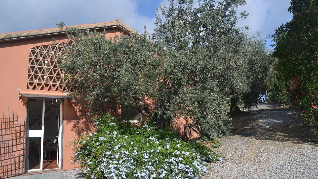 Ferienhaus für 4 Personen (75 m²) in Castagneto Carducci in Castagneto Carducci, Etruskische Küste