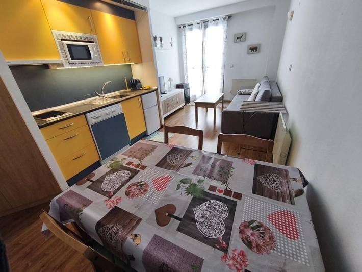 Gîte pour 4 personnes, avec vue et jardin à Candanchú - 4