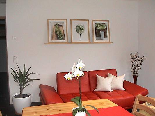 Ganze Ferienwohnung, Ferienwohnung Caviezel - Ferienwohnung für 2 Personen in Tschlin, Valsot