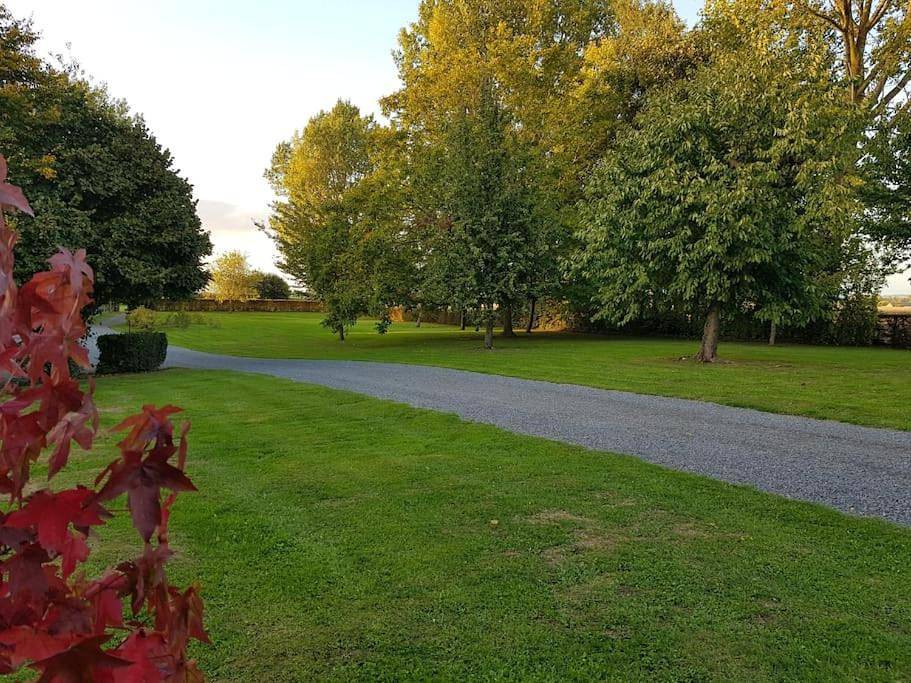 Five-Bedroom House in Tournai, Hainaut