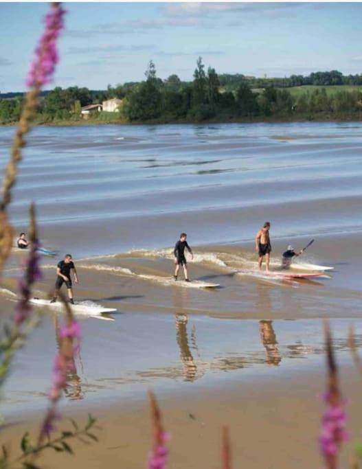 Gîte pour 5 personnes à Vayres - 3