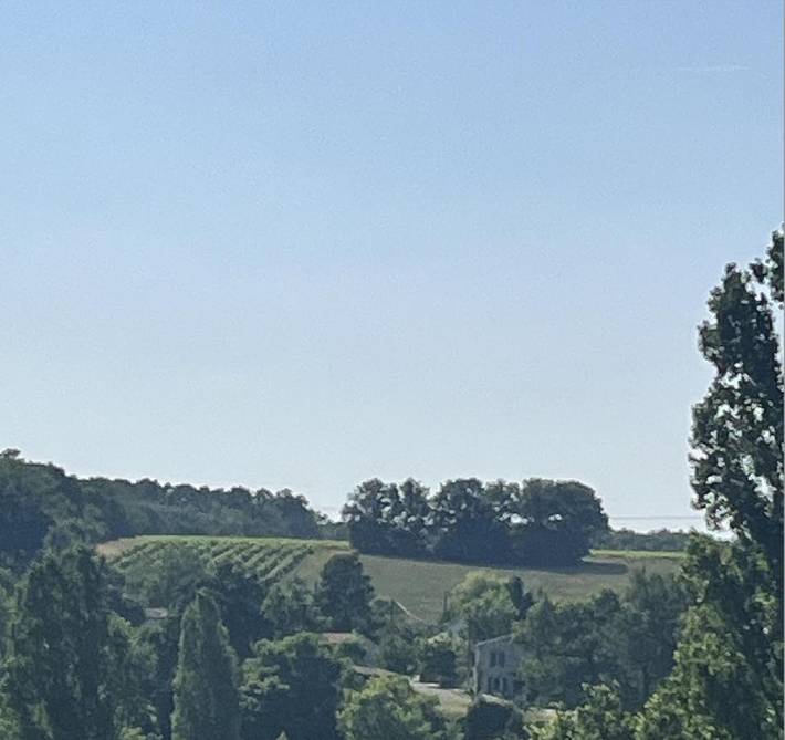 Location de vacances pour 2 personnes, avec jardin ainsi que piscine et terrasse à Les Lèves-et-Thoumeyragues