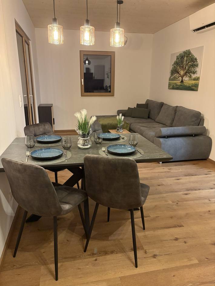 Entire holiday apartment, Appartement/Fewo, Dusche, Wc, 2 Schlafräume in Mitterberg-Sankt Martin, Dachstein Mountains