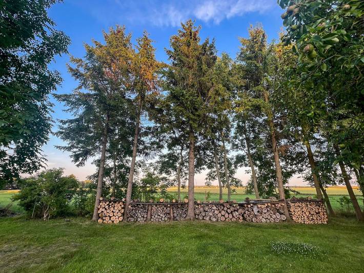 Ferienhaus für 5 Personen, mit Garten und Pool sowie Ausblick in Kenz-Küstrow - 4