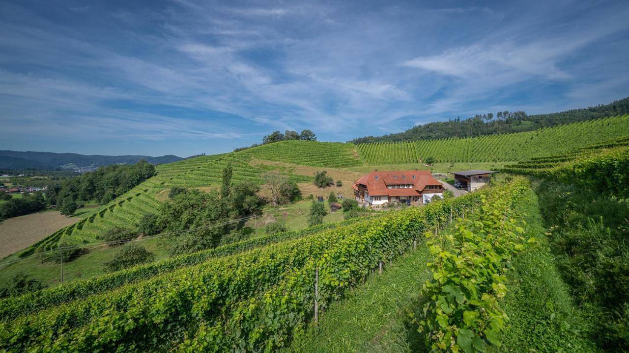 Ganze Wohnung, Winzerhof Armbruster in Gengenbach, Mittlerer Schwarzwald