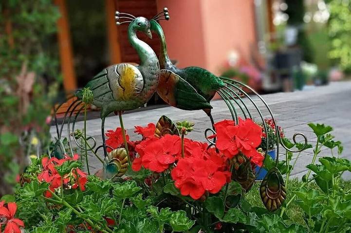 Ferienhaus für 2 Personen, mit Balkon, mit Haustier - 1
