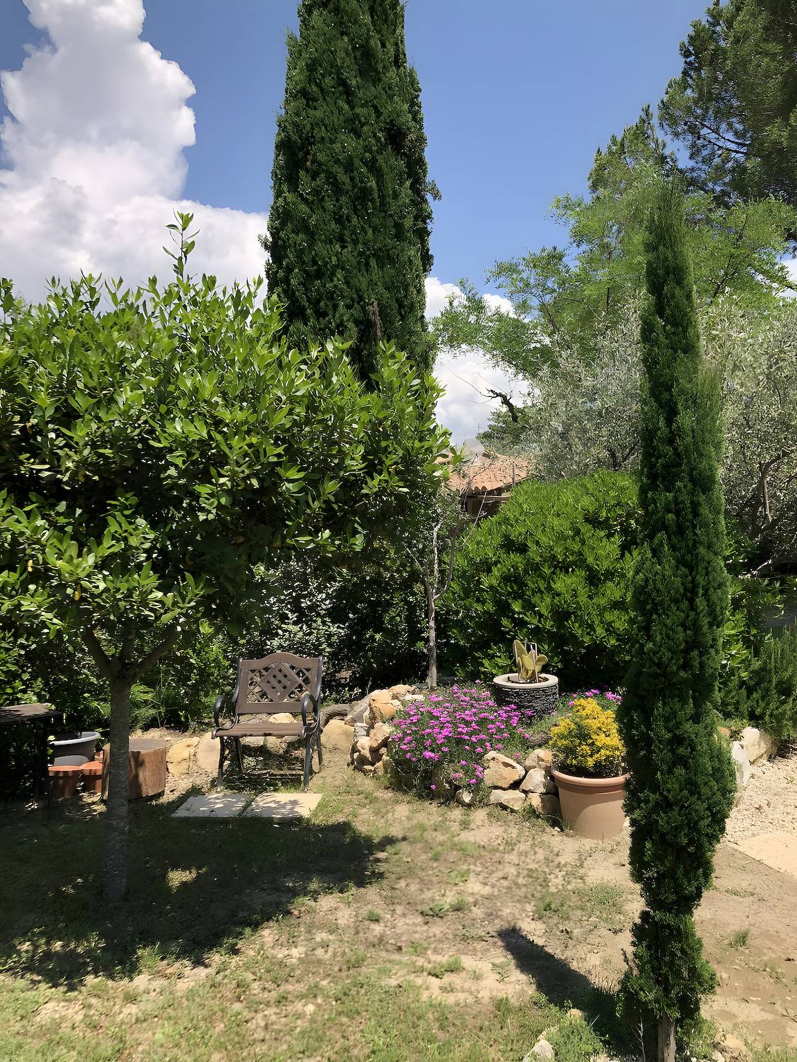Oasi des mirabelles - gîte provenzal in Mirabel-aux-Baronnies, Región de Nyons