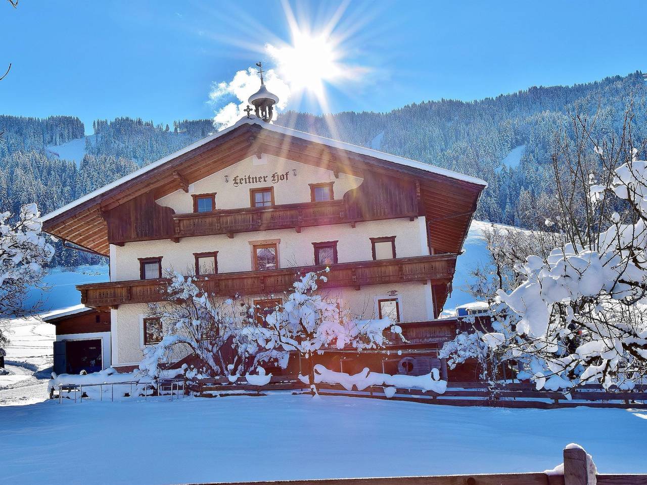 Ganze Ferienwohnung, Leitnerhof - Leitnerhof Appartement Linde 30 m² in Hopfgarten im Brixental, Kaisergebirge