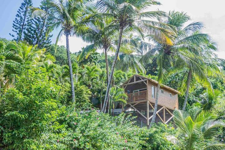Chambre d’hôte pour 2 personnes, avec vue ainsi que piscine et jardin à Deshaies - 2
