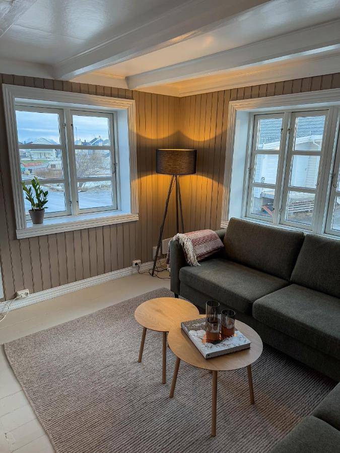 Ferienhaus für 4 Personen, mit Garten und Ausblick, mit Haustier in Vesterålen - 3