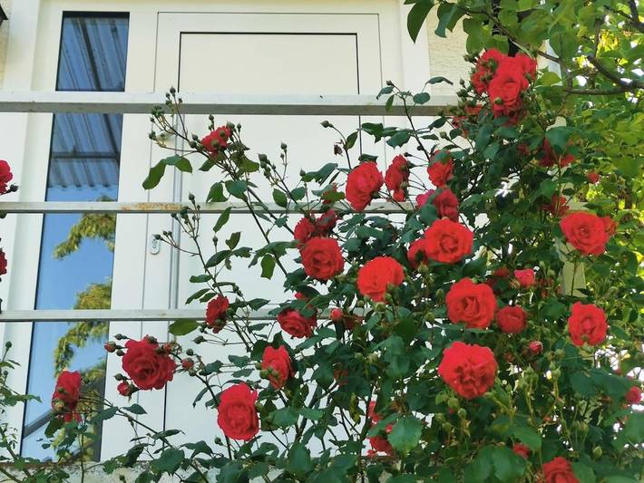 Ferienwohnung für 2 Personen, mit Garten und Ausblick in Seeheim-Jugenheim
