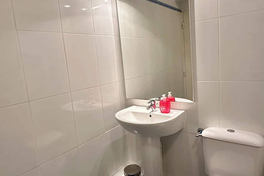 Entire apartment, 6-seater apartment 150m from the slopes in Arette, Béarn