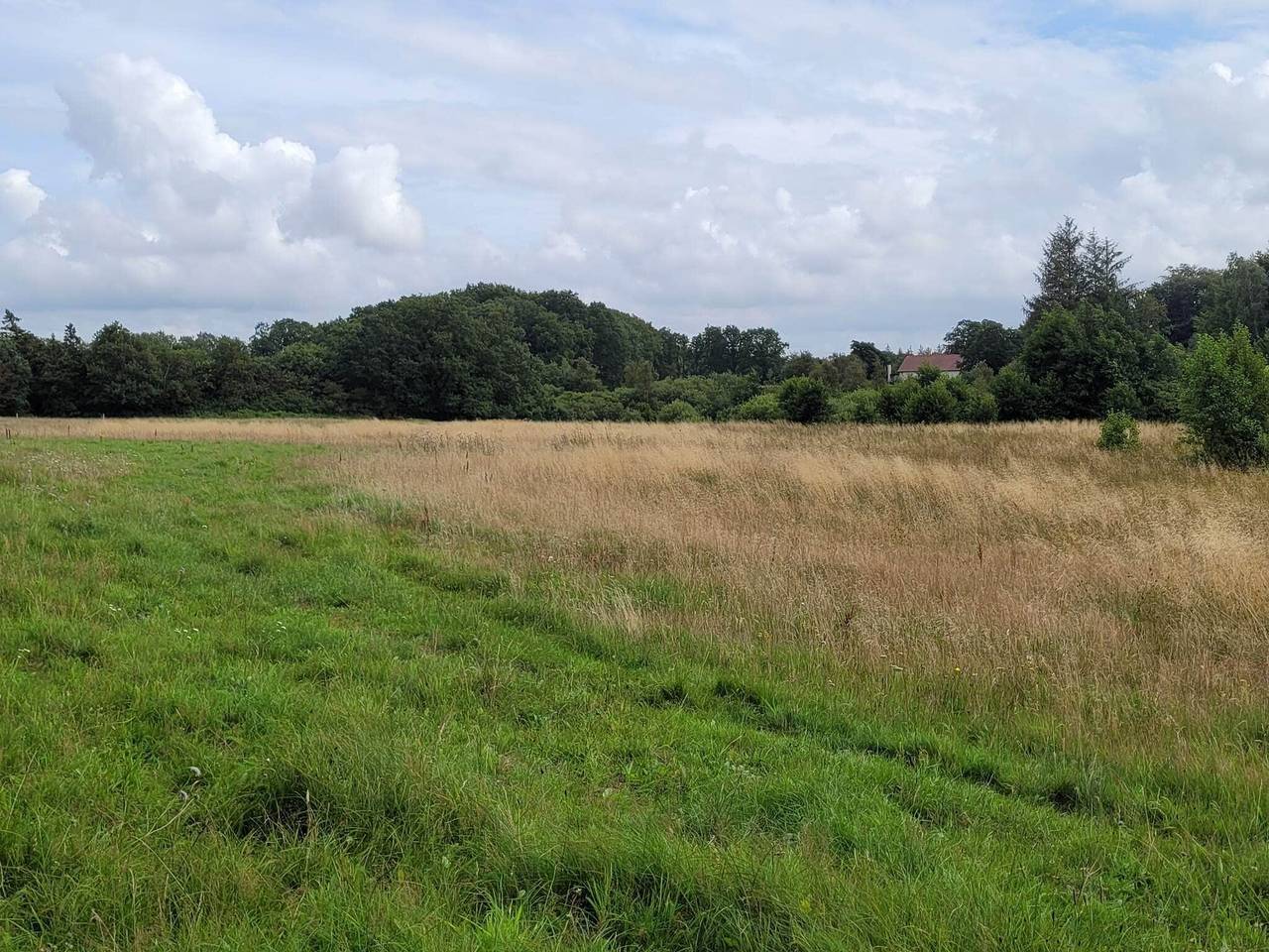 5 Personen Ferienhaus in Hovborg in Hovborg, Vejen