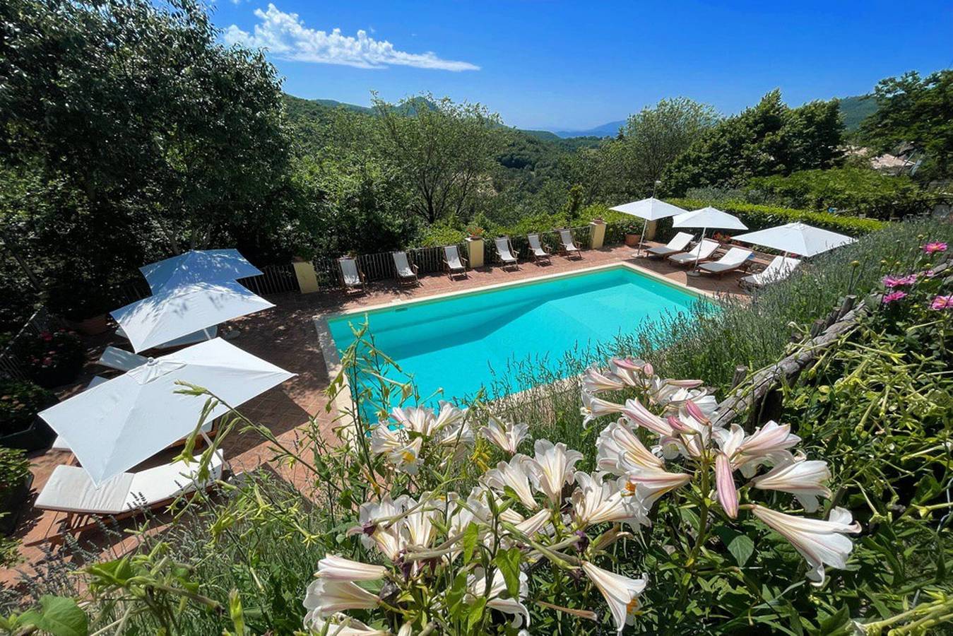 Exclusivo parque rural de Spoleto, piscina, actividades, vista a la montaña, capacidad para 28 personas in Spoleto, Provincia de Perugia