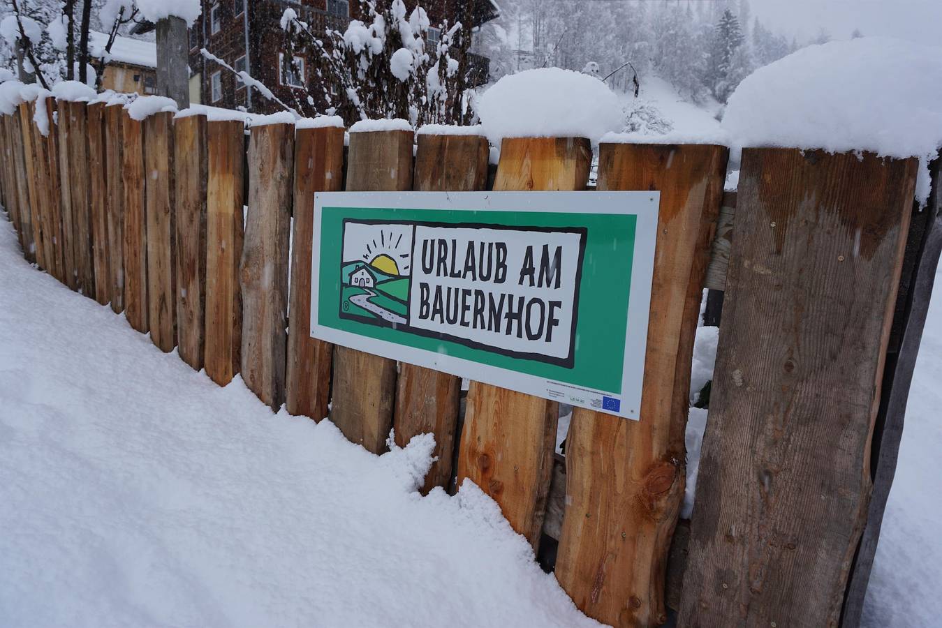 Ganze Ferienwohnung, Ferienwohnung am Biohof in Mörtschach, Oberkärnten