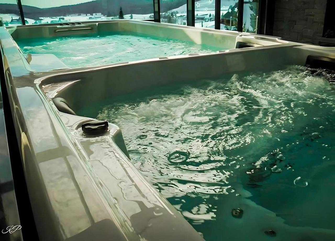 Appartement entier, 4 appartements avec espace bien-être et vue sur la montagne in Suedlicher Schwarzwald, Ibach