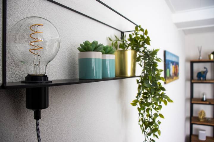 Ferienhaus für 4 Personen, mit Balkon/Terrasse und Terrasse in Egmond - 4