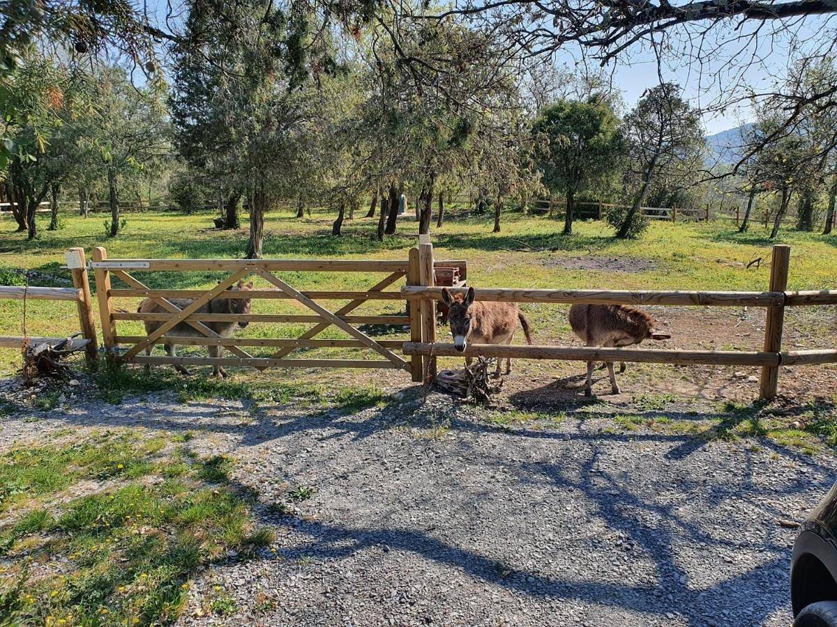 Suite Nid d'Amour et Spa privatif in Vogüé, Ardèche