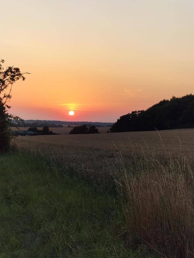 Ferienwohnung für 2 Personen, mit Seeblick und Ausblick in Ralswiek - 2