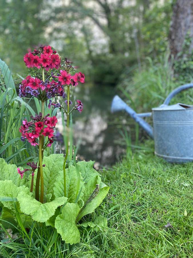 Location de vacances pour 6 personnes, avec vue ainsi que piscine et jardin dans Lac de Der-Chantecoq (Giffaumont-Champaubert) - 3