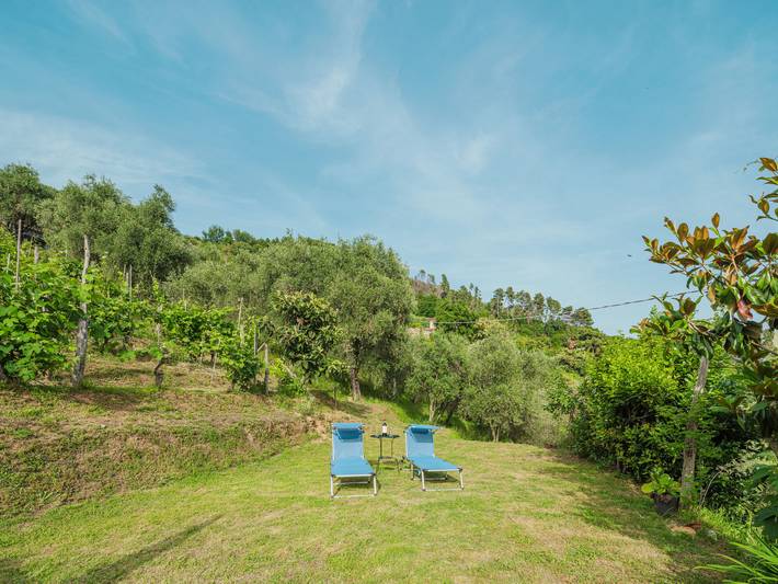 Margherita in Montignoso, Riviera Toscana