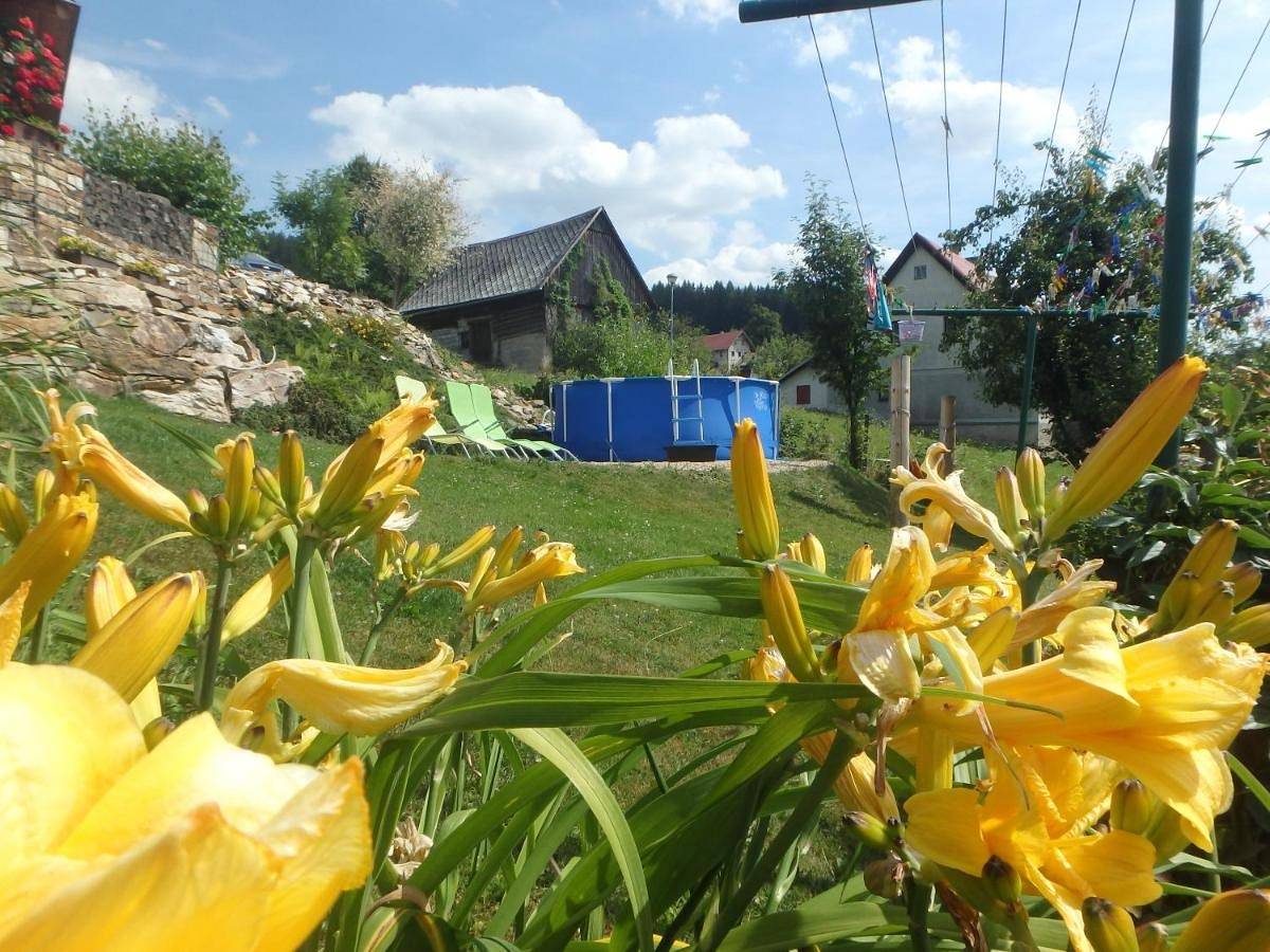 Cały apartament, Apartment in Rokytnice nad Jizerou, Karkonosze Czechy