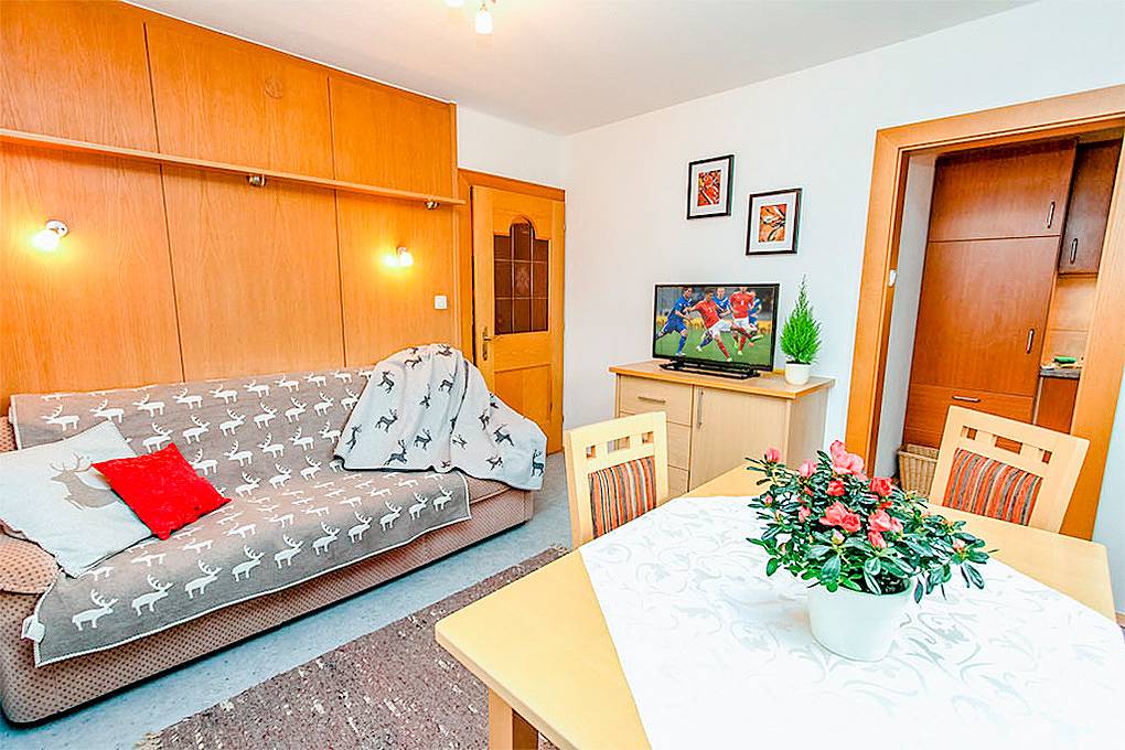 Ganze Ferienwohnung, A 376.016 - Ferienwohnung Rosi in Fieberbrunn, Kitzbüheler Alpen