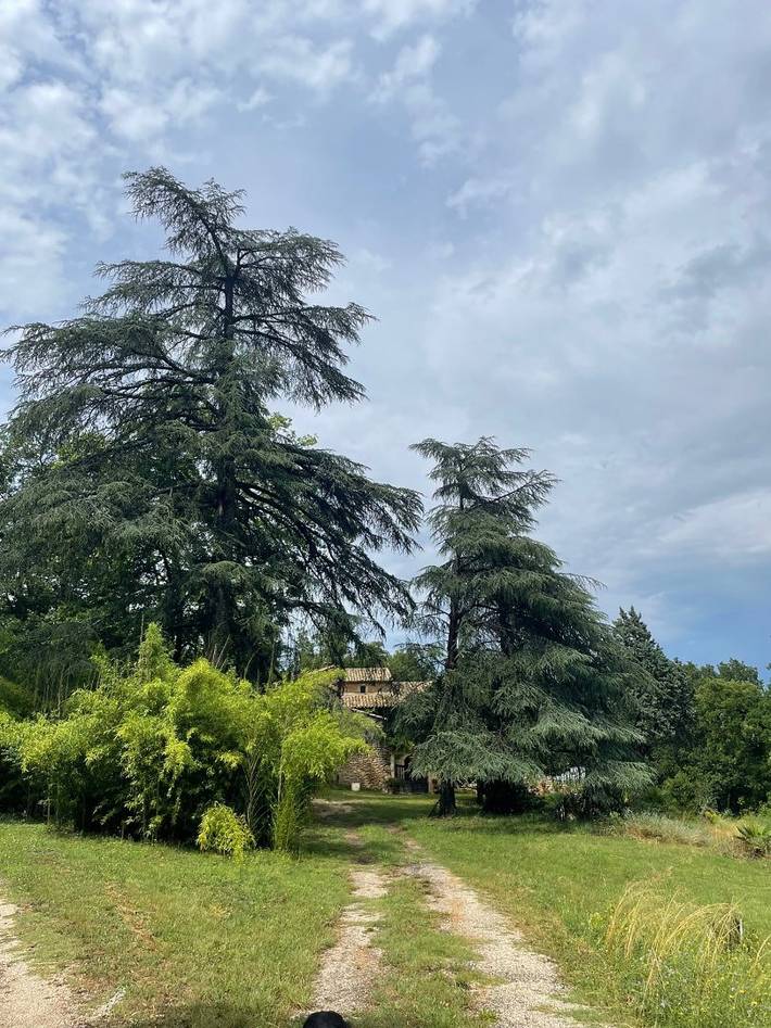 Chambre d’hôte pour 2 personnes, avec jardin dans le Gard - 2