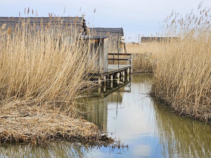 Ferienhaus für 6 Personen, mit Seeblick und Terrasse, mit Haustier am Neusiedler See - 3