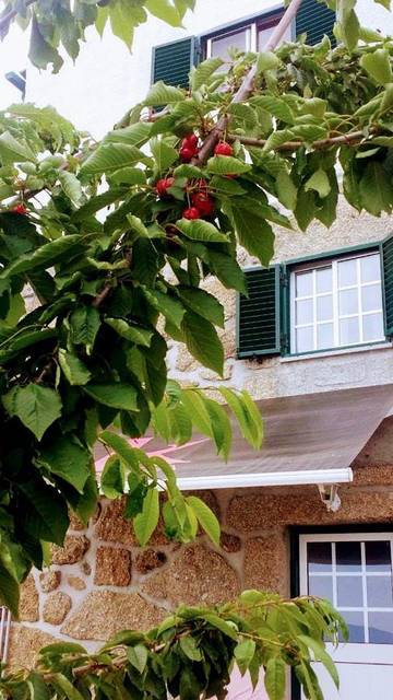Gîte pour 4 personnes, avec balcon ainsi que jardin et vue, adapté aux familles dans Fornos de Algodres