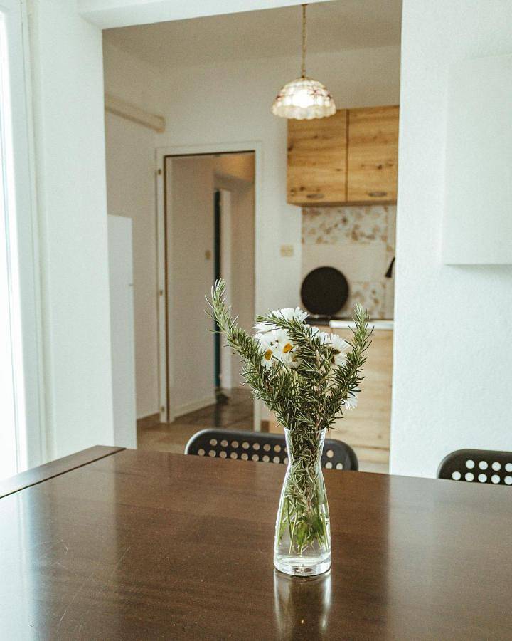Ganze Wohnung, Apartment in Vipava, Slowenien
