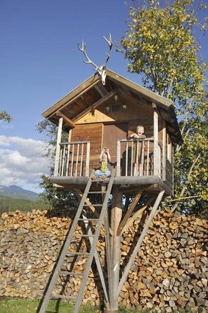 Ganze Ferienwohnung, Apartment/1 Schlafraum/Dusche, Wc in Mariapfarr, Bundesland Salzburg