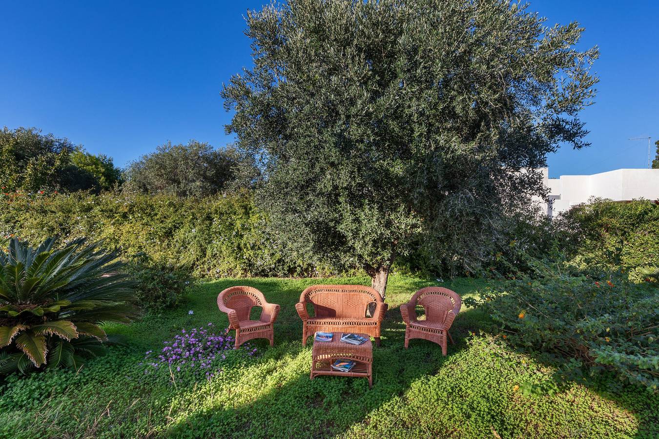 Villa Il Ginepro by Barbarhouse in Ostuni, Salento