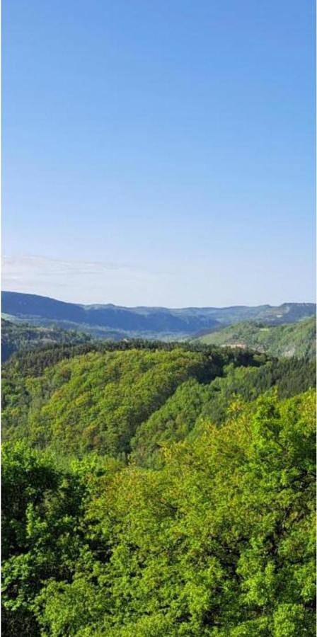Camping pour 9 personnes, avec jardin et piscine ainsi que terrasse et vue, animaux acceptés