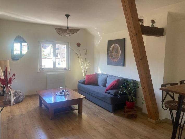 Gîte pour 3 personnes, avec terrasse, adapté aux familles dans Handschuheim