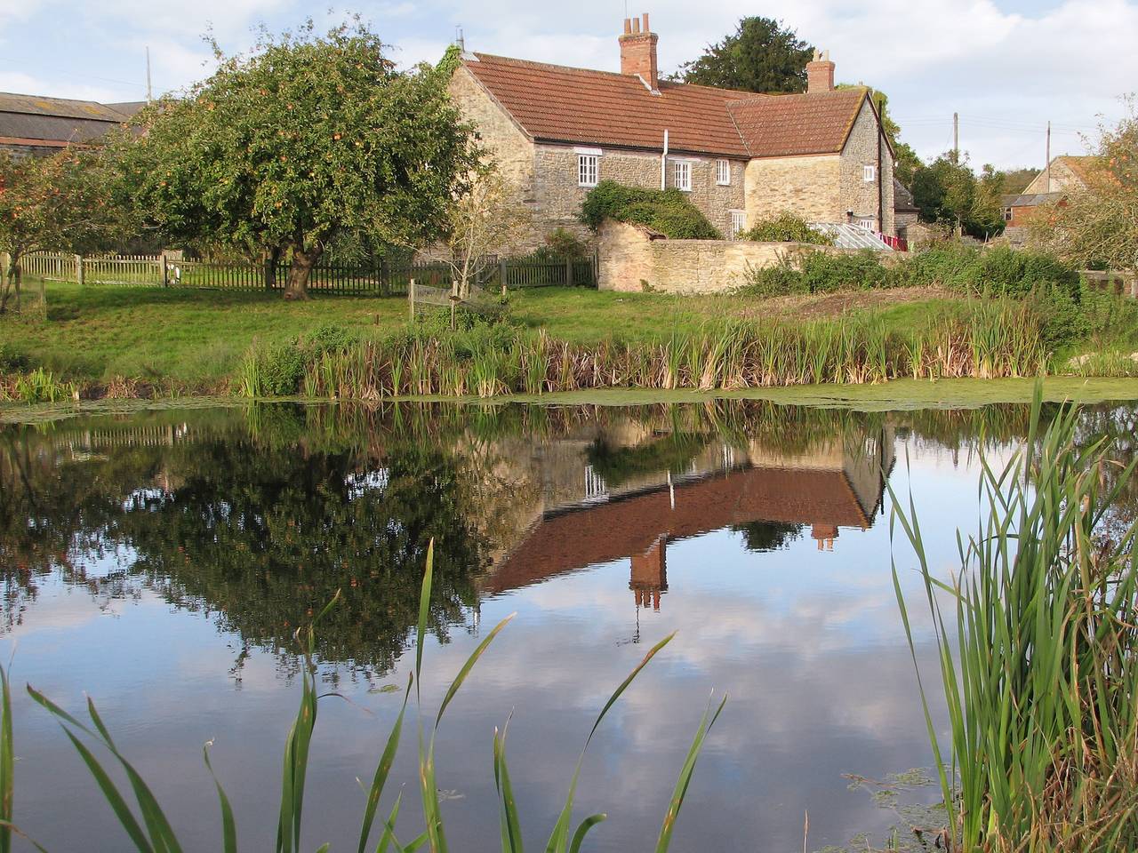 Old Orchard Cottage in Dorset