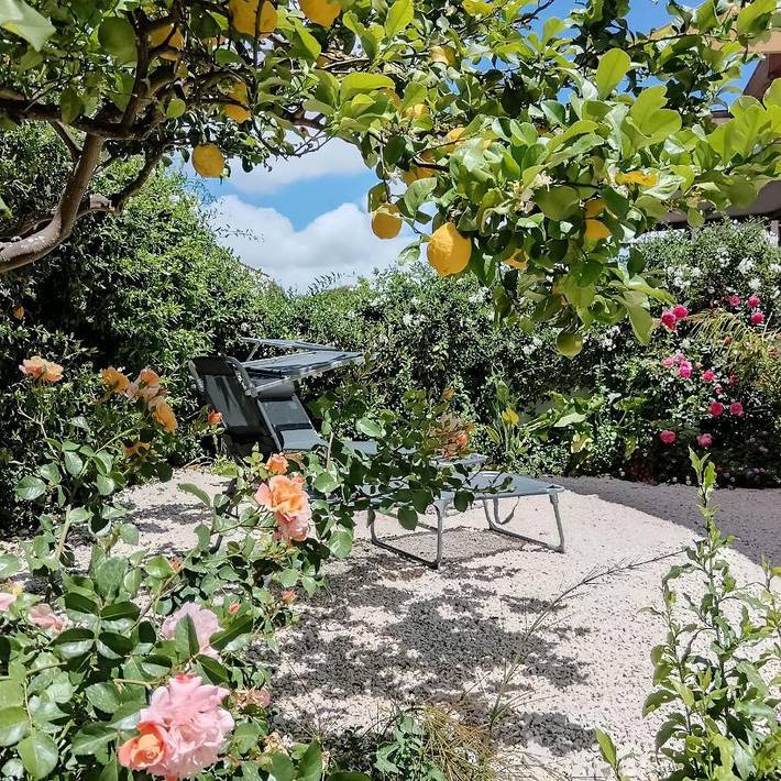 B&b per 4 persone, con Balcone e Terrazza nonché Giardino e Panorama a Salemi