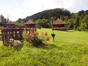 Parc de vacances pour 3 personnes, avec vue ainsi que piscine et jardin à Kosjerić