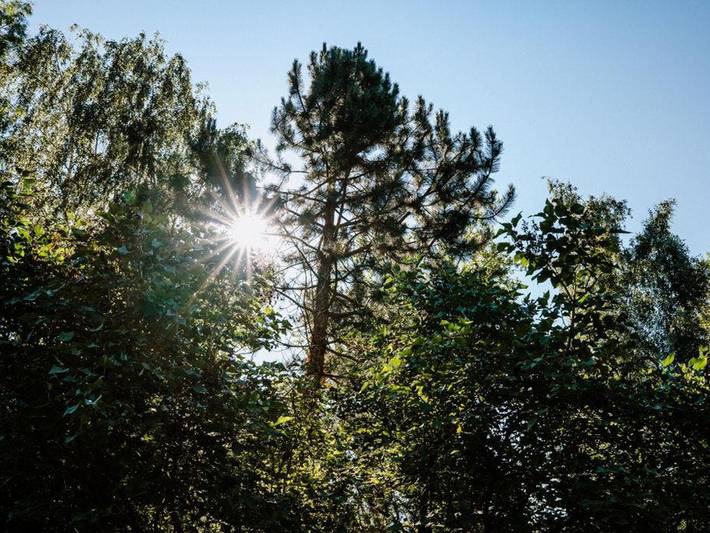 Ferienwohnung für 7 Personen, mit Balkon, kinderfreundlich in Radeberg - 3
