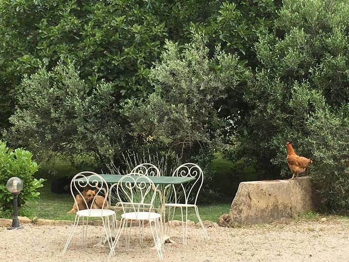 Chalet para 16 personas, con jacuzzi además de jardín y piscina - 1