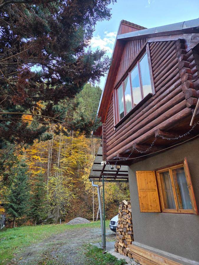 Location de vacances pour 12 personnes, avec vue ainsi que jardin et terrasse dans Cluj-Napoca