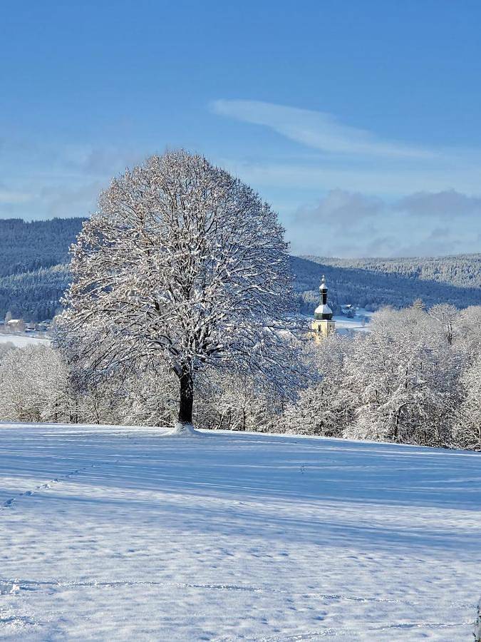 Ferienhaus für 4 Personen, mit Sauna und Garten in Arnbruck - 4