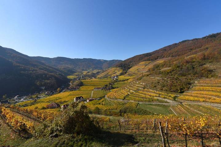 Ganze Ferienwohnung, Weingut Piewald - Ferienwohnung mit Balkon in Donau Niederösterreich Region