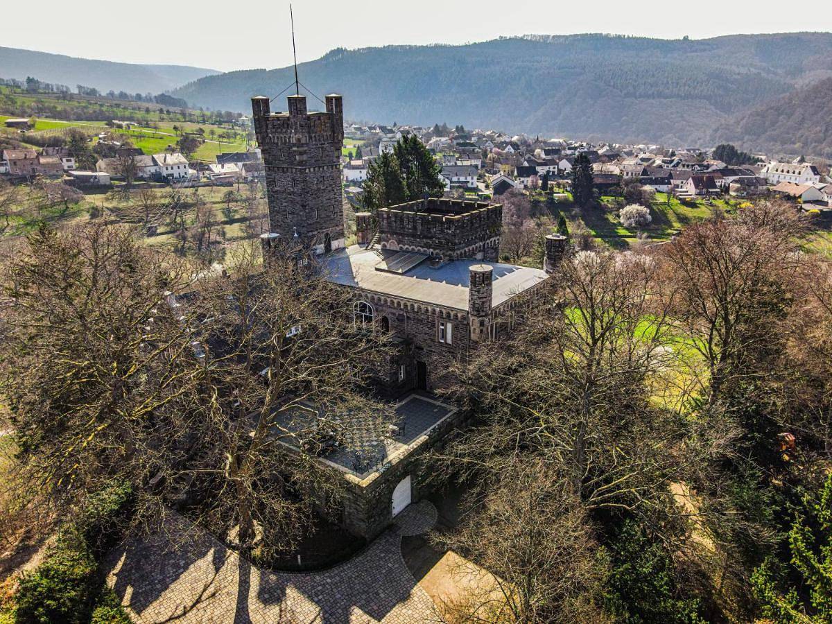 Saar Castle - cozy Mansion near vineyard in Serrig, Landkreis Trier-Saarburg