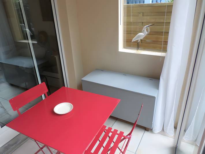 Gîte pour 3 personnes, avec Jardin à La Forêt-Fouesnant - 4