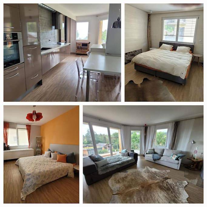 Gîte pour 5 personnes, avec jardin ainsi que vue sur le lac et vue à Saint-Cergue - 2