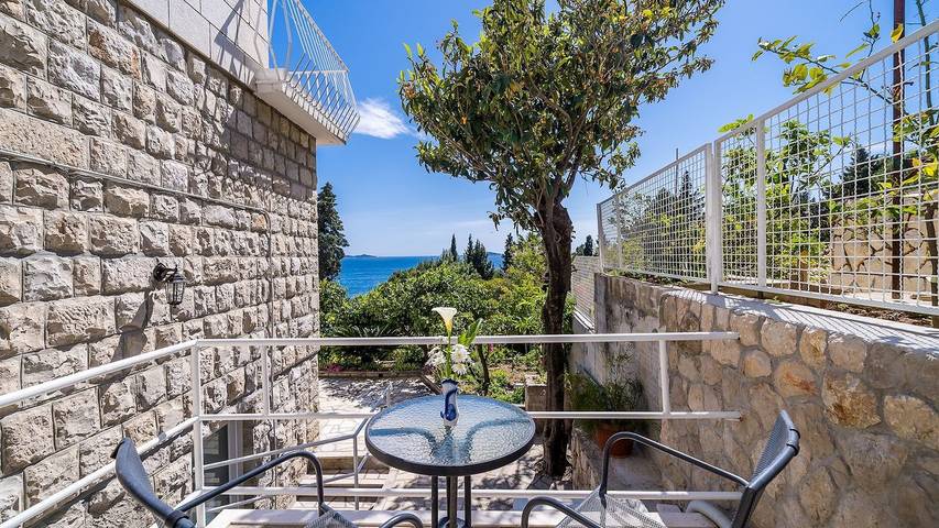 Holiday letting for 4 people, with terrace and pool, with pets in Srebreno