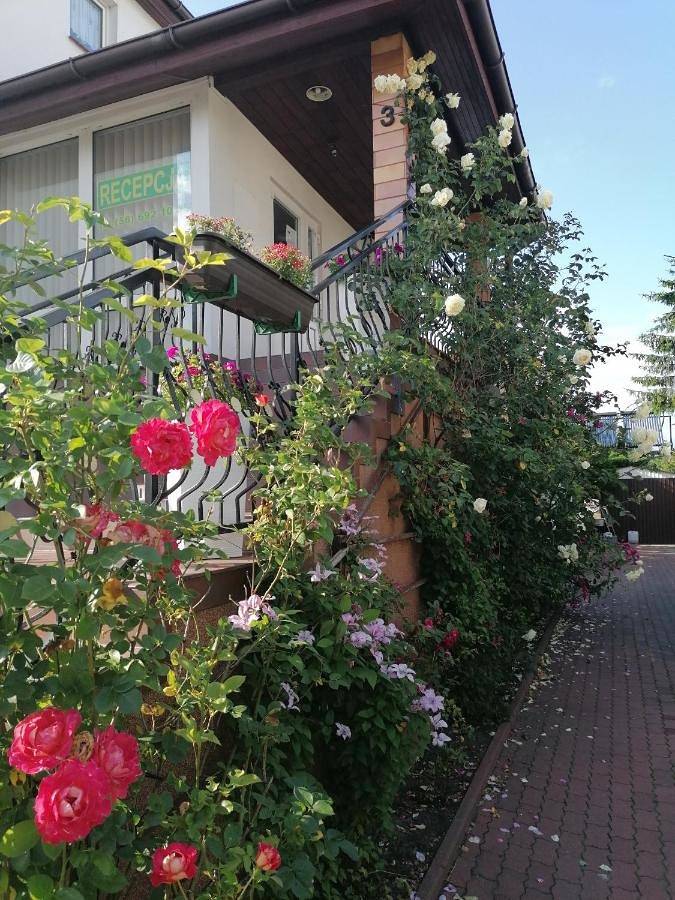 Cały apartament wypoczynkowy, Gościniec pod Różą in Chełmno, Województwo kujawsko-pomorskie