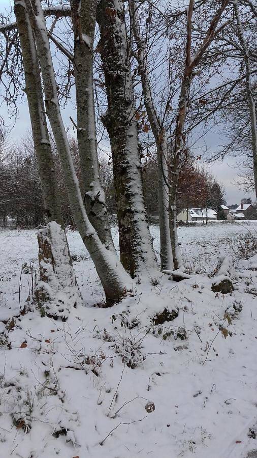 Maison d’hôte pour 2 personnes, avec jardin ainsi que jacuzzi et terrasse dans la Creuse - 4