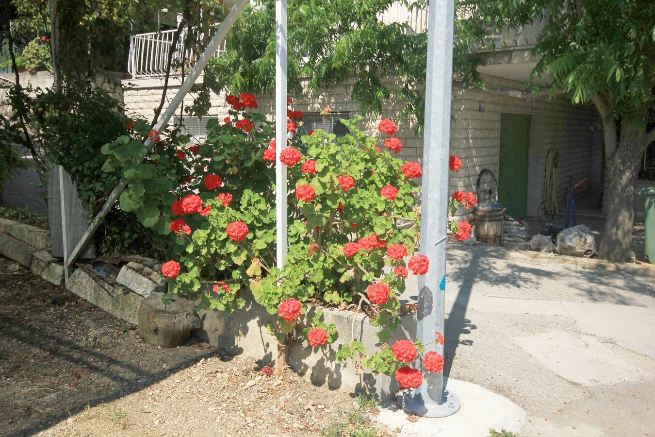 Ganze Wohnung, 2-Zimmer-Ferienwohnung am Strand Viganj, Peljesac A-633-c in Viganj, Dubrovnik-Neretva